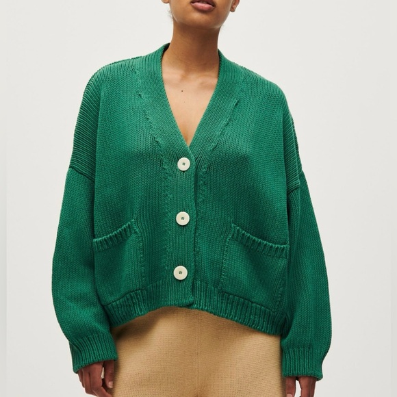 Babaa no 22 tree fern - Picture 1 of 6